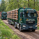 Stammholz – Fichtenrundholz als komplette LKW-Ladung