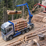 Forststammholz – Fichtenrundholz mit Kranverladung
