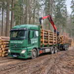 Forststammholz – Rundholz-LKW mit Kranverladung
