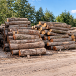 Naturbelassenes Laubholz in unterschiedlichen Stärken